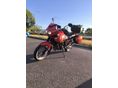 TRIUMPH TIGER 955I 