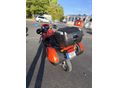 TRIUMPH TIGER 955I 2005/2 - 3