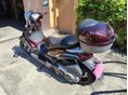 PIAGGIO BEVERLY 500 2005/9 - 2