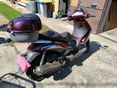 PIAGGIO BEVERLY 500 2005/9 - 3