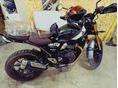 TRIUMPH SCRAMBLER 
