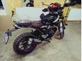 TRIUMPH SCRAMBLER 2025 - 2