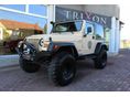 JEEP WRANGLER 1999/1 - 1