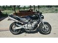 HONDA CB 600 F (HORNET) 1999/10 - 7