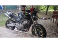 HONDA CB 600 F (HORNET) 1999/10 - 1
