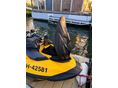 SEA-DOO 2022 - 7