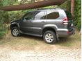 TOYOTA LAND CRUISER 2009 - 1