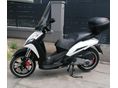 PEUGEOT GEOPOLIS 300 2011/9 - 2