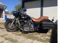 HARLEY-DAVIDSON FXRT 1994/6 - 5