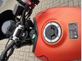 TRIUMPH TRIDENT 2023/6 - 5
