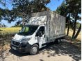 FIAT DUCATO 2015/4 - 2