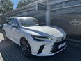 LEXUS RX 2025/8 - 8