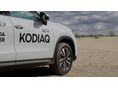 SKODA KODIAQ 2026 - 2