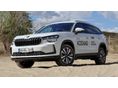SKODA KODIAQ 2026 - 1