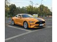 FORD MUSTANG 2019/11 - 1