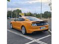 FORD MUSTANG 2019/11 - 2