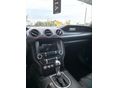 FORD MUSTANG 2019/11 - 4