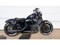 HARLEY-DAVIDSON SPORTSTER 2020/11 - 3