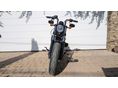 HARLEY-DAVIDSON SPORTSTER 2020/11 - 7