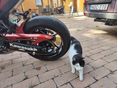KAWASAKI Z 900 2018/10 - 10