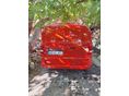MERCEDES-BENZ VITO 2021/6 - 4