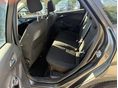 FORD FOCUS 2015/7 - 16