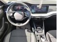 SKODA OCTAVIA 2026/9 - 6