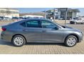 SKODA OCTAVIA 2026 - 4