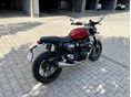 TRIUMPH SPEED TWIN 2024/3 - 2