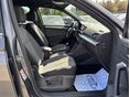 SEAT TARRACO 2019/9 - 10