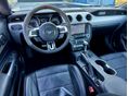FORD MUSTANG 2016/7 - 7