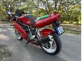 DUCATI 750 SS 2001 - 4