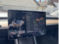 TESLA MODEL 3 2019/7 - 10