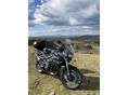 TRIUMPH TIGER 800 túrákra felkészítve. friss nagyszervizzel