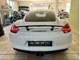 PORSCHE CAYMAN 2015/3 - 6