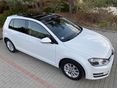 VOLKSWAGEN GOLF VII 2016/11 - 1