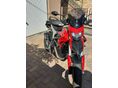DUCATI 888 STRADA 2014/5 - 3