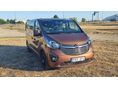 OPEL VIVARO 1.6 CDTI L2H1 2.9t Start-Stop Premium Euro 6
