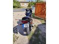 YAMAHA FZS 600 (FAZER) 2000 - 4
