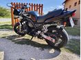 YAMAHA FZS 600 (FAZER) 