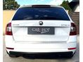 SKODA OCTAVIA 2019/7 - 6