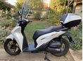 HONDA SH 150 2024/7 - 1