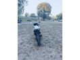 YAMAHA TZR 50 2004/12 - 4