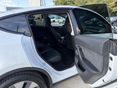 TESLA MODEL Y 2023/6 - 11
