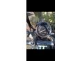 YAMAHA XV 125 (VIRAGO) 1998/12 - 3