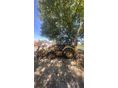 CATERPILLAR 2007 - 12