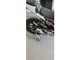 BMW S 1000 RR 2021/4 - 3