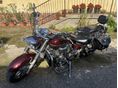 YAMAHA XVS 1300 A MIDNIGHT STAR 2008/12 - 2
