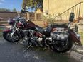 YAMAHA XVS 1300 A MIDNIGHT STAR 2008/12 - 3