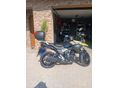 SUZUKI DL 250 2020/6 - 8